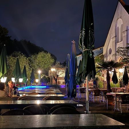 Hotel Muehleinsel Kenzingen Exterior photo